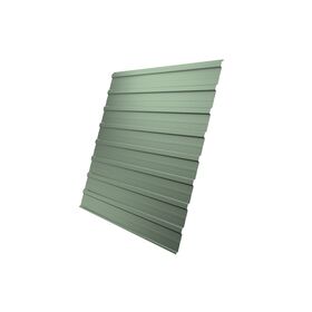Профлист С 10 тип А Polyester 0,45 RAL 6019 бело-зеленый
