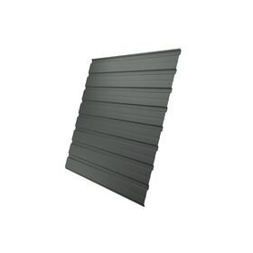 Профлист С 10 Polyester 0,45 RAL 7005 мышино-серый